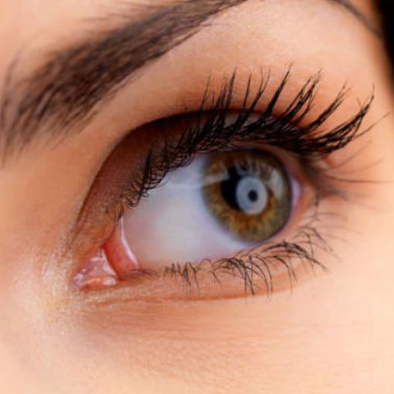 Lash Services
